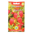Семена Земляника "Александрия", 0,04 г Семена Земляника "Александрия", 0,04 г