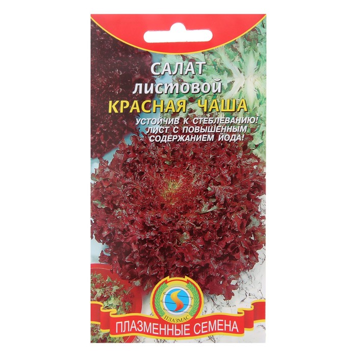 Купить Семена Салатов В Интернет Магазине