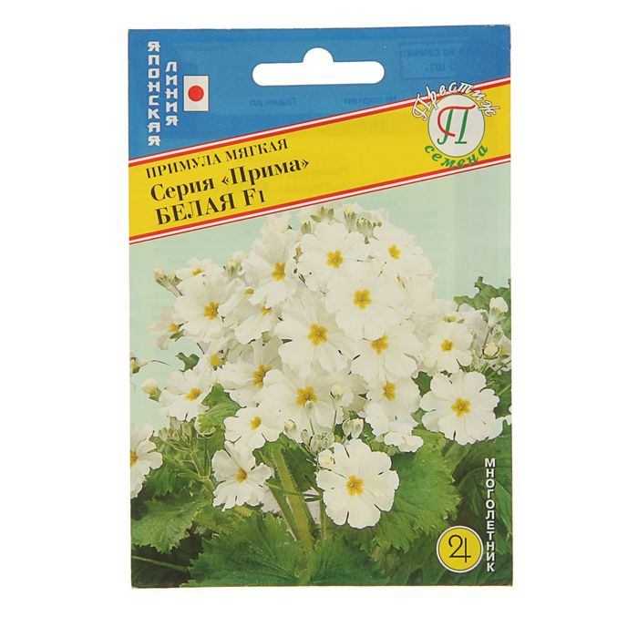 Бел прим. Армерия приморская (armeria maritima). Розетка 4-м оп прима с/з бел. Бел прим. Армерия приморская белая.