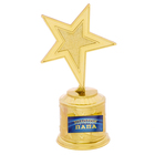 Star award "Golden dad"