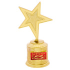 Star award "For a bright creative"