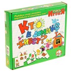 Обучающая игра Учись играя «Кто в домике живёт» 2821370 - фото 8032755