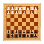 Демонстрационные шахматы магнитные (игровое поле 73х73 см, фигуры полимер, король h=6.3 см) - фото 138583