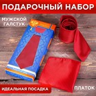 Gift set: tie and kerchief "defending the law"