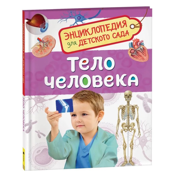 Энциклопедия для детского сада «Тело человека»