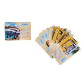 Набор животных с обучающими карточками «Дикие животные разных стран», животные пластик, карточки, по методике Монтессори - фото 5272237