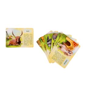 Набор животных с обучающими карточками «Фермерское хозяйство», животные пластик, карточки, по методике Монтессори - фото 5272241