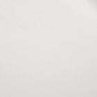 Бумага упаковочная тишью, белый, 50 см х 66 см 2654614