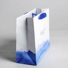 Пакет подарочный ламинированный «Гармонии», 22 × 17.5 × 8 см 2640195