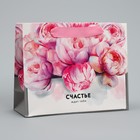 Пакет ламинированный горизонтальный «Счастье ждёт тебя» 22 × 17,5 × 8 см 2640197