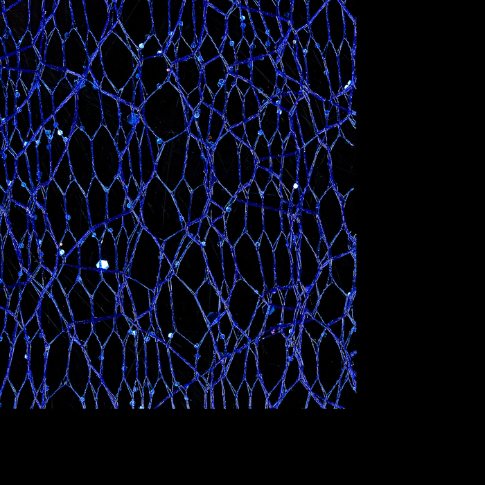 Паутинка с блёстками для декора ногтей, цвет синий