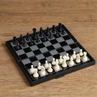 Настольная игра 3 в 1 "Зук": нарды, шахматы, шашки, магнитная доска 24.5 х 24.5 см - фото 79059919
