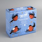 Гирлянда «Бахрома» 2.4 × 0.9 м с насадками «Колокольчики», IP20, прозрачная нить, 138 LED, свечение белое, 8 режимов, 220 В 2361707