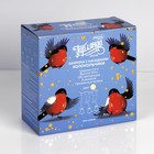 Гирлянда «Бахрома» 2.4 × 0.9 м с насадками «Колокольчики», IP20, прозрачная нить, 138 LED, свечение тёплое белое, 8 режимов, 220 В 2361708