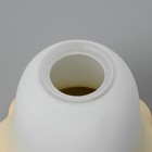 Плафон "Ромашка"  E14 - фото 3403742 Плафон "Ромашка"  E14 - фото 3403742