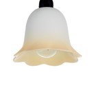 Плафон "Ромашка"  E14 - фото 3403743 Плафон "Ромашка"  E14 - фото 3403743