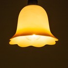 Плафон "Ромашка"  E14 - фото 3403745 Плафон "Ромашка"  E14 - фото 3403745