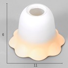 Плафон "Ромашка"  E14 - фото 3403746 Плафон "Ромашка"  E14 - фото 3403746