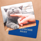 Обложка на студенческий "Серый кот" Обложка на студенческий "Серый кот"