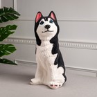 Копилка "Собака Хаски", белый цвет, флок, керамика, 39 см - фото 6584870