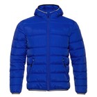 Куртка мужская, размер 46, цвет синий - фото 7038134