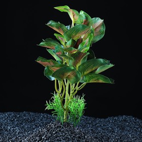 Растение аквариумное "в горшочке", 31 х 23 х 19 см