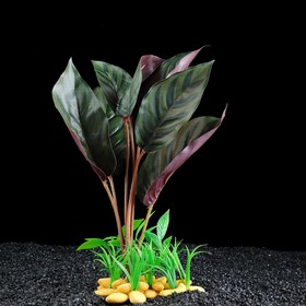 Растение аквариумное на камнях, 30 х 30 х 20 см
