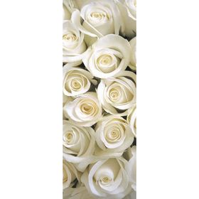 Фотообои "Белые розы" M 106 (1 полотно), 100х270 см