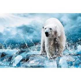 Фотообои "Медведь во льдах" M 606 (2 полотна), 200х135 см