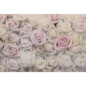 Фотообои "Розовая нежность" M 618 (2 полотна), 200х135 см