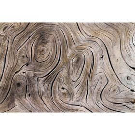 Фотообои "Текстура дерева" M 722 (3 полотна), 300х200 см