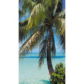 Фотообои "Пальма на фоне океана" 1-А-104 (1 полотно), 150х270 см
