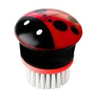 Щётка для посуды Ladybug Щётка для посуды Ladybug
