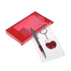 2in1 gift set(pen+key chain) Apple, box 18*9cm
