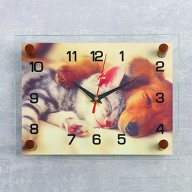 Часы настенные, серия: Животный мир, "Котёнок и собачка", 20х26 см , без выбора вариантов товара
