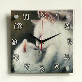 Часы настенные, серия: Животный мир, "Кошки", 25х25 см в Донецке