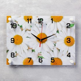Часы настенные, серия: Цветы, "Ромашки", 25х35  см
