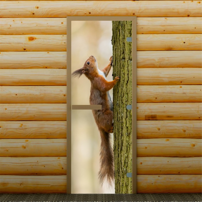 Дверь для бани и сауны &quot;Белка на дереве&quot;, 190 х 70 см, с фотопечатью 8 мм Добропаровъ