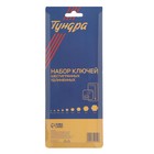 Набор ключей шестигранных ТУНДРА, удлиненных с шаром, CrV, 1.5 - 10 мм, 9 шт. 2354394 Набор ключей шестигранных ТУНДРА, удлиненных с шаром, CrV, 1.5 - 10 мм, 9 шт. 2354394
