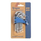 Набор ключей ТУНДРА, TORX Tamper, CrV, TT10 - TT50, 9 шт. 2354395 Набор ключей ТУНДРА, TORX Tamper, CrV, TT10 - TT50, 9 шт. 2354395