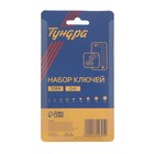 Набор ключей ТУНДРА, TORX Tamper, CrV, TT10 - TT50, 9 шт. 2354395 Набор ключей ТУНДРА, TORX Tamper, CrV, TT10 - TT50, 9 шт. 2354395