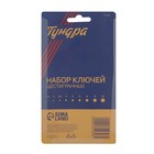 Набор ключей шестигранных ТУНДРА black, CrV, 1.5 - 10 мм, 9 шт. 2354398 Набор ключей шестигранных ТУНДРА black, CrV, 1.5 - 10 мм, 9 шт. 2354398