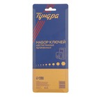 Набор ключей шестигранных ТУНДРА black, удлиненных, CrV, 1.5 - 10 мм, 9 шт. 2354399 Набор ключей шестигранных ТУНДРА black, удлиненных, CrV, 1.5 - 10 мм, 9 шт. 2354399