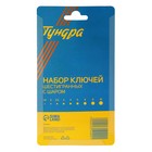 Набор ключей шестигранных ТУНДРА black, с шаром, CrV, 1.5 - 10 мм, 9 шт. 2354400 Набор ключей шестигранных ТУНДРА black, с шаром, CrV, 1.5 - 10 мм, 9 шт. 2354400
