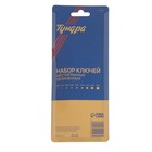 Набор ключей ТУНДРА black, TORX Tamper, удлиненные, CrV, TT10 - TT50, 9 шт. 2354403 Набор ключей ТУНДРА black, TORX Tamper, удлиненные, CrV, TT10 - TT50, 9 шт. 2354403