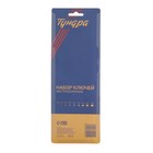 Набор ключей ТУНДРА black, TORX Tamper, экстрадлинные, CrV, TT10 - TT50, 9 шт. 2354404 Набор ключей ТУНДРА black, TORX Tamper, экстрадлинные, CrV, TT10 - TT50, 9 шт. 2354404