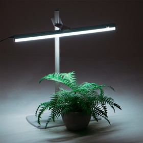 Фитосветильник «Растущий светильник», 16 Вт, 220 В, 560 × 220 × 560 мм, на подставке