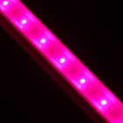 Фитосветильник светодиодный, 9 Вт, 572 мм, сине-красный спектр, фиолетовый, «ЭРА» 2895993