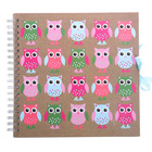 Фотоальбом на 25 листов 10х15 см Innova Scrapbooks - Owls на пружине Фотоальбом на 25 листов 10х15 см Innova Scrapbooks - Owls на пружине