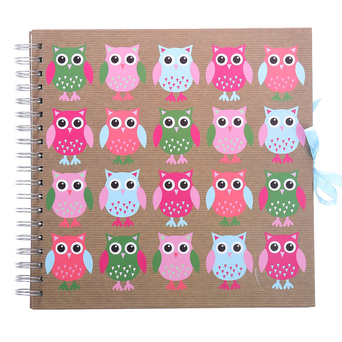 Фотоальбом на 25 листов 10х15 см Innova Scrapbooks - Owls на пружине